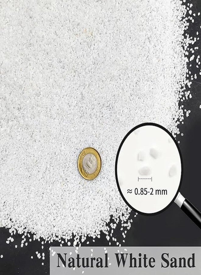 RUKDA® Natural White Aquarium Sand (Sugar Size) - Quality Substrate for Freshwater Tank, Terrarium, Garden, Rangoli, Home Decor, Vase Filler, Lawn, Craft & Havan Decoration - Image 2